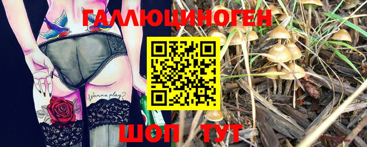 Псилоцибиновые грибы прущие грибы  Вход с VPN  Красный Сулин 